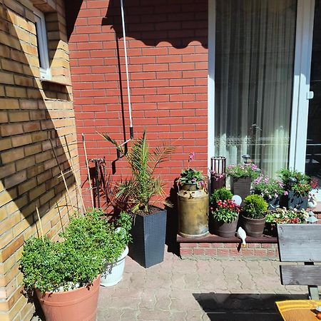 Ogrodek U Eli Leilighet Kołobrzeg Eksteriør bilde